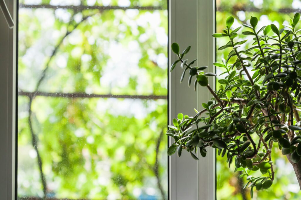 window of country house in summer